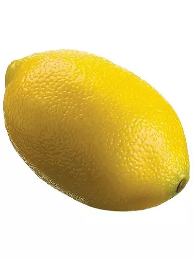 Aldik Home's Deliciously Realistic Fruits & Vegetables - Lemon