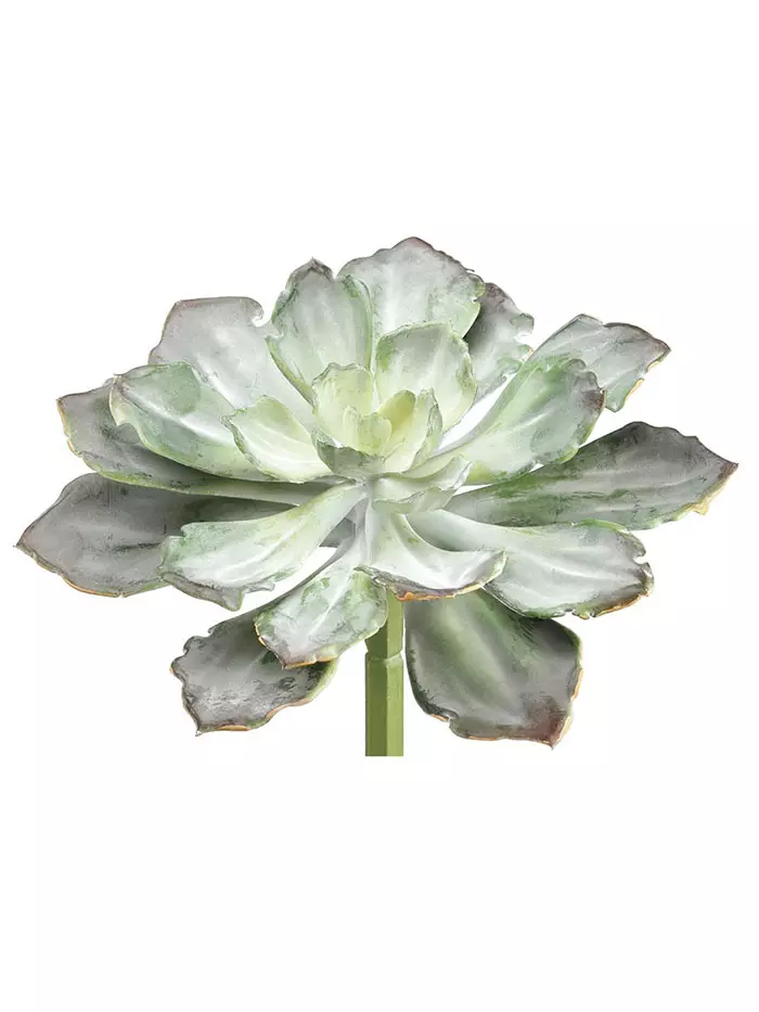 Aldik Home's Quality Artificial Succulents - Echeveria 