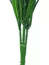 Grass_Bush_33_in_4dcc6abb2424b.jpg