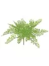 Aldik Home's Incredibly Realistic Silk Plants - Maidenhair Fern