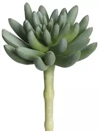 Aldik Home's Quality Artificial Succulents - Aeonium Spike