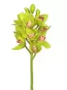 Aldik Home's Realistic Silk Flowers - Cymbidium Orchid