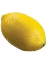 Aldik Home's Deliciously Realistic Fruits & Vegetables - Lemon