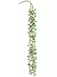 Aldik Home's Quality Artificial Succulents - String of Pearls