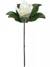 Aldik Home's Realistic Silk Flowers - Magnolia White