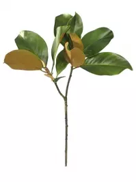 Aldik Home's Realistic Silk Flowers - Magnolia Leaf