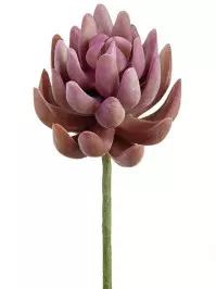 Aldik Home's Quality Artificial Succulents - Senecio Pick
