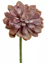 Aldik Home's Quality Artificial Succulents - Baby Aeonium Pick