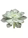 Aldik Home's Quality Artificial Succulents - Echeveria