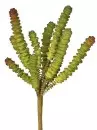 Aldik Home's Quality Artificial Succulents - Finger Succulent