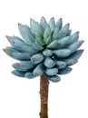 Aldik Home's Quality Artificial Succulents - Crown Succulent Pick