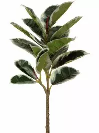 Aldik Home's Incredibly Realistic Silk Plants - Rubber Plant