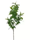 Aldik Home's Incredibly Realistic Silk Plants - Bay Leaf