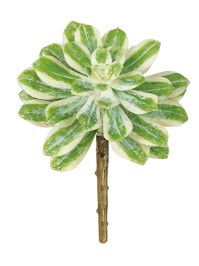 Aldik Home's Quality Artificial Succulents - Echeveria Pick
