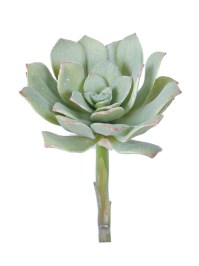 Aldik Home's Quality Artificial Succulents - Echeveria Elegans