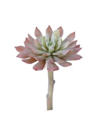 Aldik Home's Quality Artificial Succulents - Echeveria Agavoides